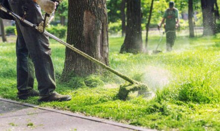 Tipps für die Gartenarbeit